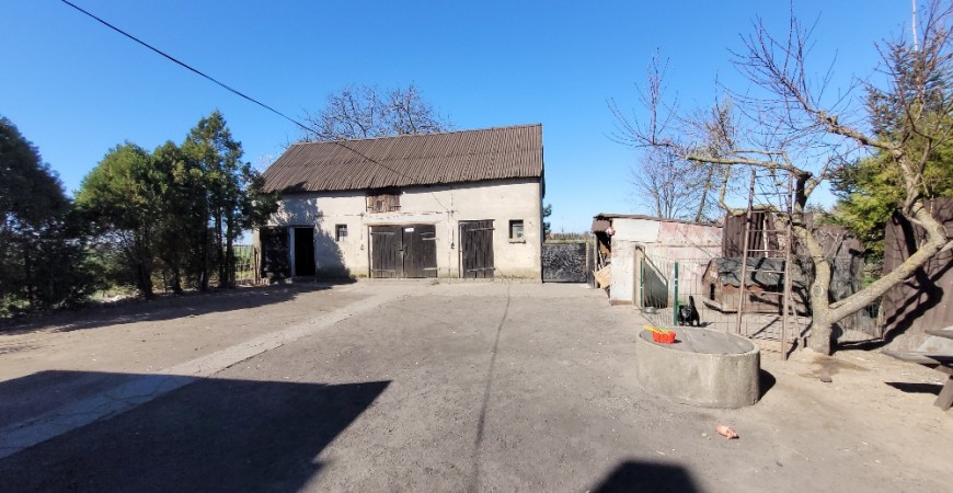 20250403_110642_resized