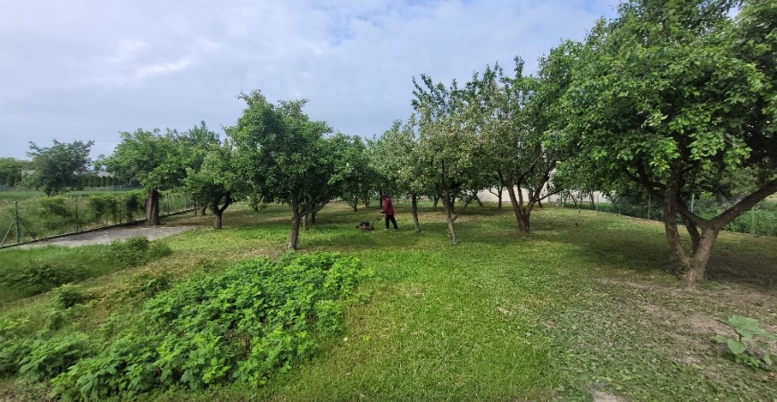 20250528_092349_resized