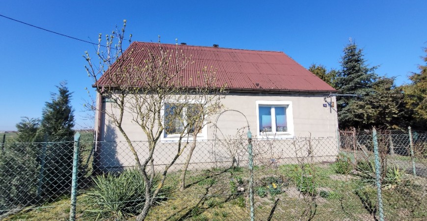 20250403_111048_resized